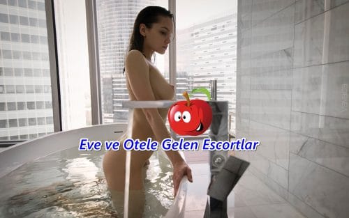 Jartiyer Giyip Seks Yapan Rus Escort Katrin | Gaziantep Escort Bayan Jartiyer Giyip Seks Yapan Rus Escort Katrin