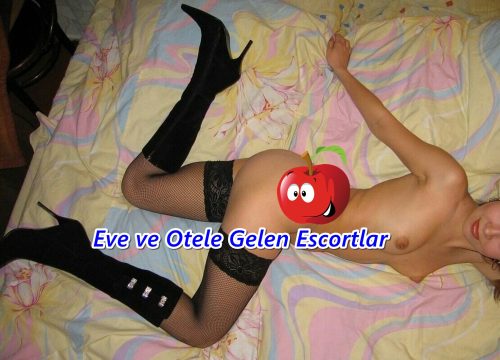 Başı Kapalı ve Güzel Sakso Çeken Escort Leyla | Gaziantep Escort Bayan Başı Kapalı ve Güzel Sakso Çeken Escort Leyla
